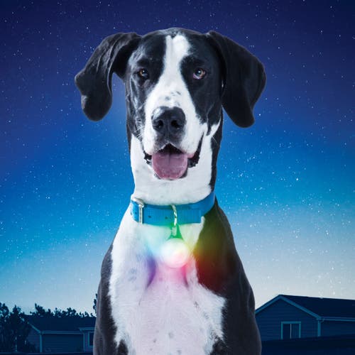 Nite Ize Spotlit Xl Rechargeable Led Collar Light - Disco Select Disco select