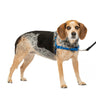 PetSafe Easy Walk No Pull Dog Harness Royal Blue / Navy