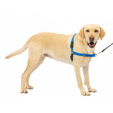 PetSafe Easy Walk No Pull Dog Harness Royal Blue / Navy