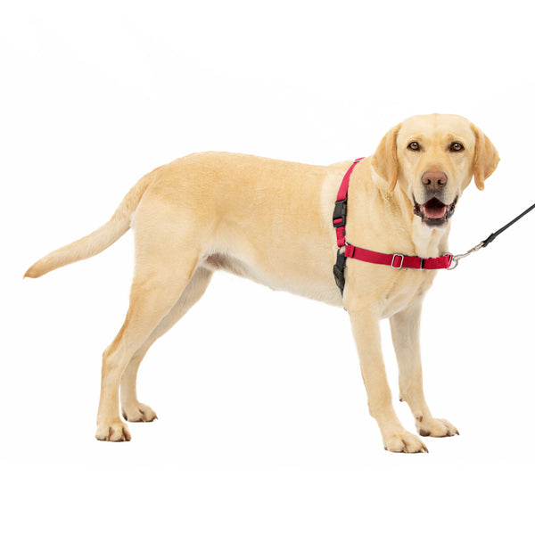 PetSafe Easy Walk No Pull Dog Harness Red / Black