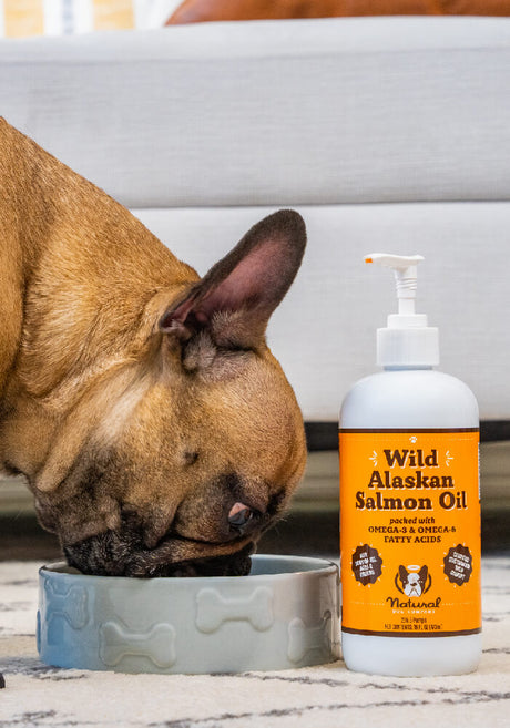 Natural Dog Company Wild Alaskan Salmon Oil - 16oz