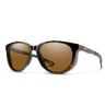 Smith Sport Optics Seeker Sunglasses Tt/cp plr brwn