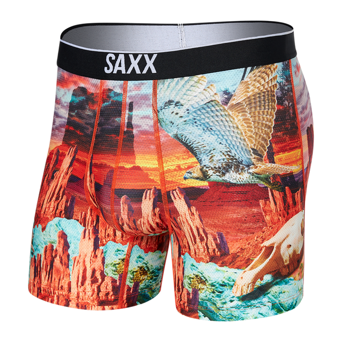 Saxx Volt Breathable Mesh Boxer Brief Monumentvalley/multi