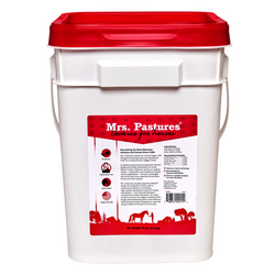 Mrs. Pastures Original Cookie Reusable Plastic Bucket - 15lb