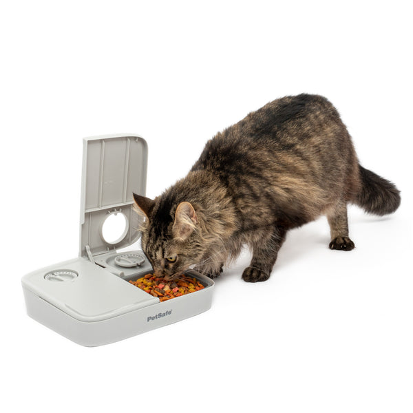 PetSafe Automatic 2 Meal Pet Feeder