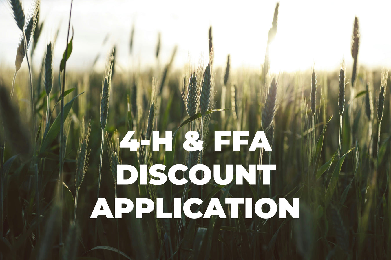 4-H and FFA Application link