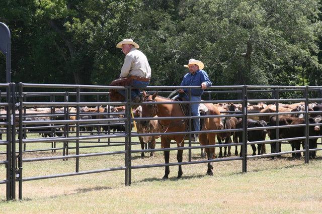 Priefert Rough Stock Arena Panel, 12ft GRAY