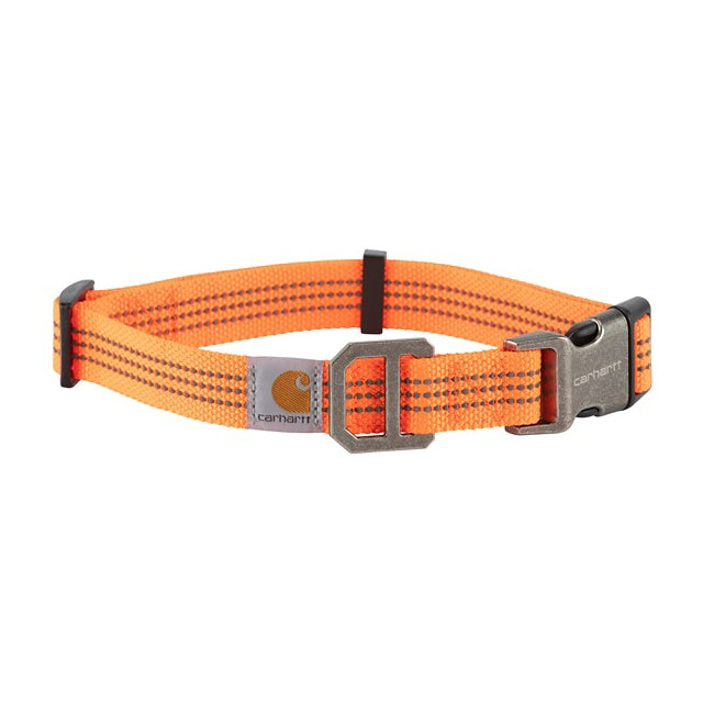 Carhartt Tradesman Dog Collar Hunter Orange / Brushed Nickel