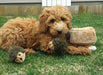 Zippy Paws Hedgehog Den Burrow Dog Toy