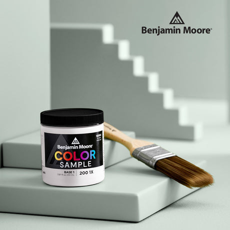 Benjamin Moore Half Pint Color Sample - Base 1 / _