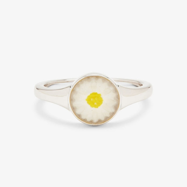 Pura Vida Bracelets Meadow Signet Ring SILV