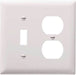 Pass & Seymour 2 Gang Toggle Switch/Duplex Receptacle Wall Plate, White WHITE / 2G
