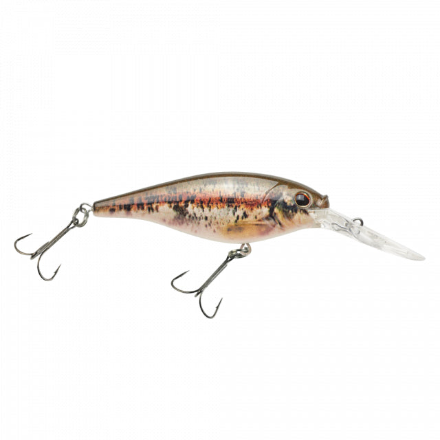 Berkley Flicker Shad | 3/16 oz | 2in | 5cm | 8 | 9'-11' | 2.7m-3.4m | Model #FFSH5M-HDBND HD Blacknose Dace