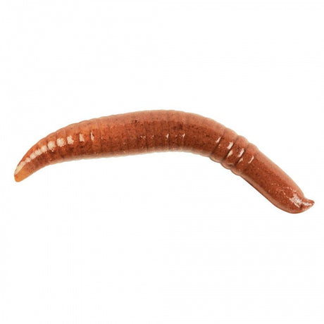 Berkley Gulp! Pinched Crawler Nightcrawler