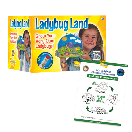 Insect Lore Ladybug Land