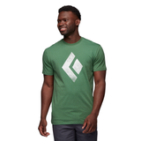 Black Diamond Men's Chalked Up SS Tee Arbor Green