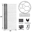 Garden Zone Garden Craft Galvanized Poultry Netting, 36in x 50ft, 1in Hexagonal Openings