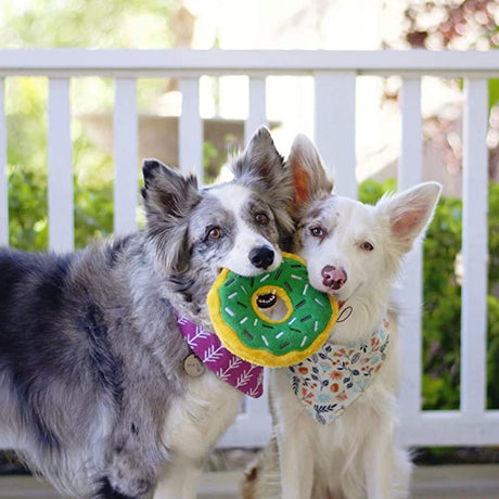 Zippy Paws Donutz Mint Chip Dog Toy