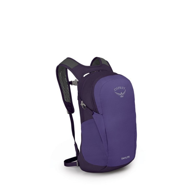 Osprey daylite eggplant purple hotsell