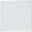 Pass & Seymour 2 Gang Blank Wall Plate, White WHITE / 2G