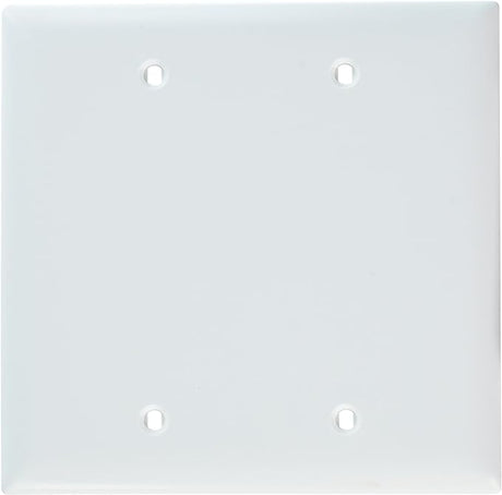 Pass & Seymour 2 Gang Blank Wall Plate, White WHITE / 2G