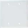 Pass & Seymour 2 Gang Blank Wall Plate, White WHITE / 2G