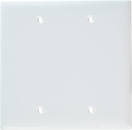 Pass & Seymour 2 Gang Blank Wall Plate, White WHITE / 2G