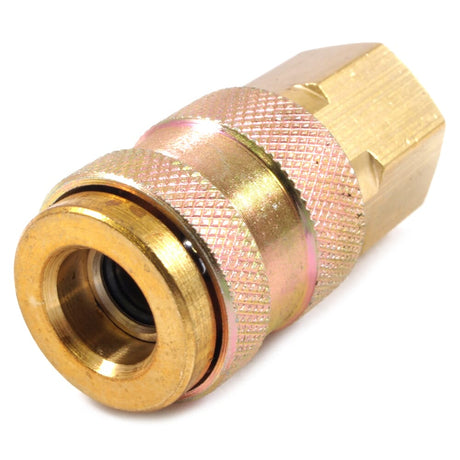 Forney Universal Coupler, 1/4 in x 1/4 in FNPT