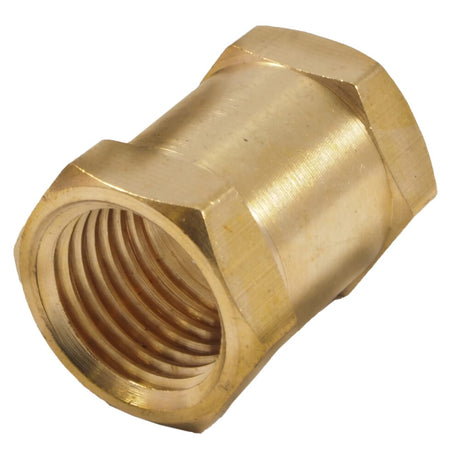 Forney Hose Coupling, 1/4 in FNPT