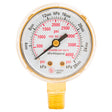 Forney Regulator Gauge, 2 in, 0-4000 PSI