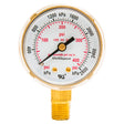 Forney Regulator Gauge, 2 in, 0-400 PSI