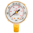 Forney Regulator Gauge, 2 in, 0-200 PSI