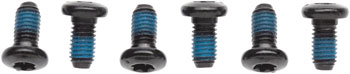 Avid T25 Disc Rotor Bolts