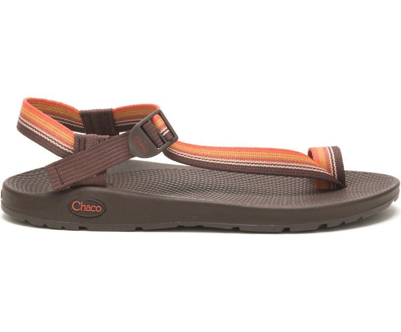 Chaco Men's Bodhi Sandal BELT_JAVA /  / M