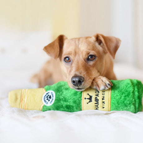 Zippy Paws HAPPY HOUR CRUSHERZ DOG TOY CHAMPAGNE