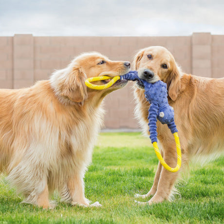 Zippy Paws RopeTugz Monkey Dog Toy, Blue BLUE