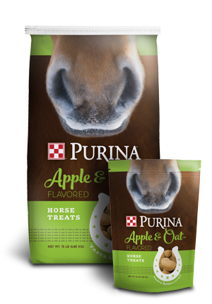 Apple and Oats Horse Treats