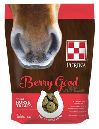 Purina Mills Berry Good Senior Horse Treats