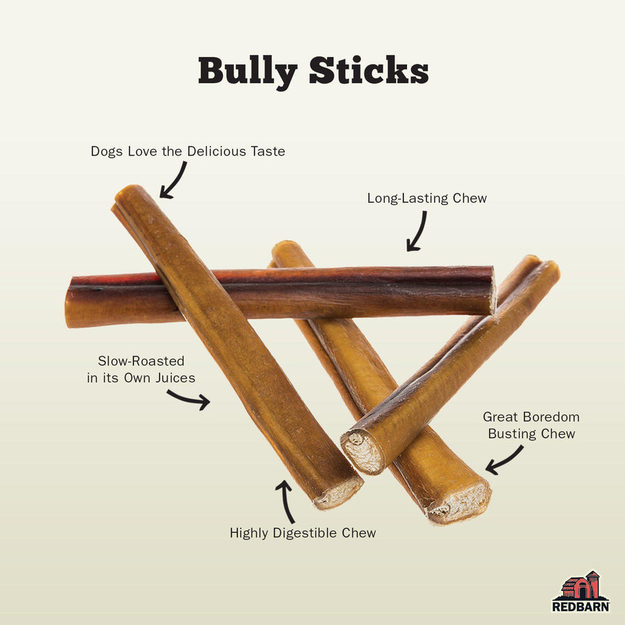 Red Barn Bully Stick Dog Chew, 9in