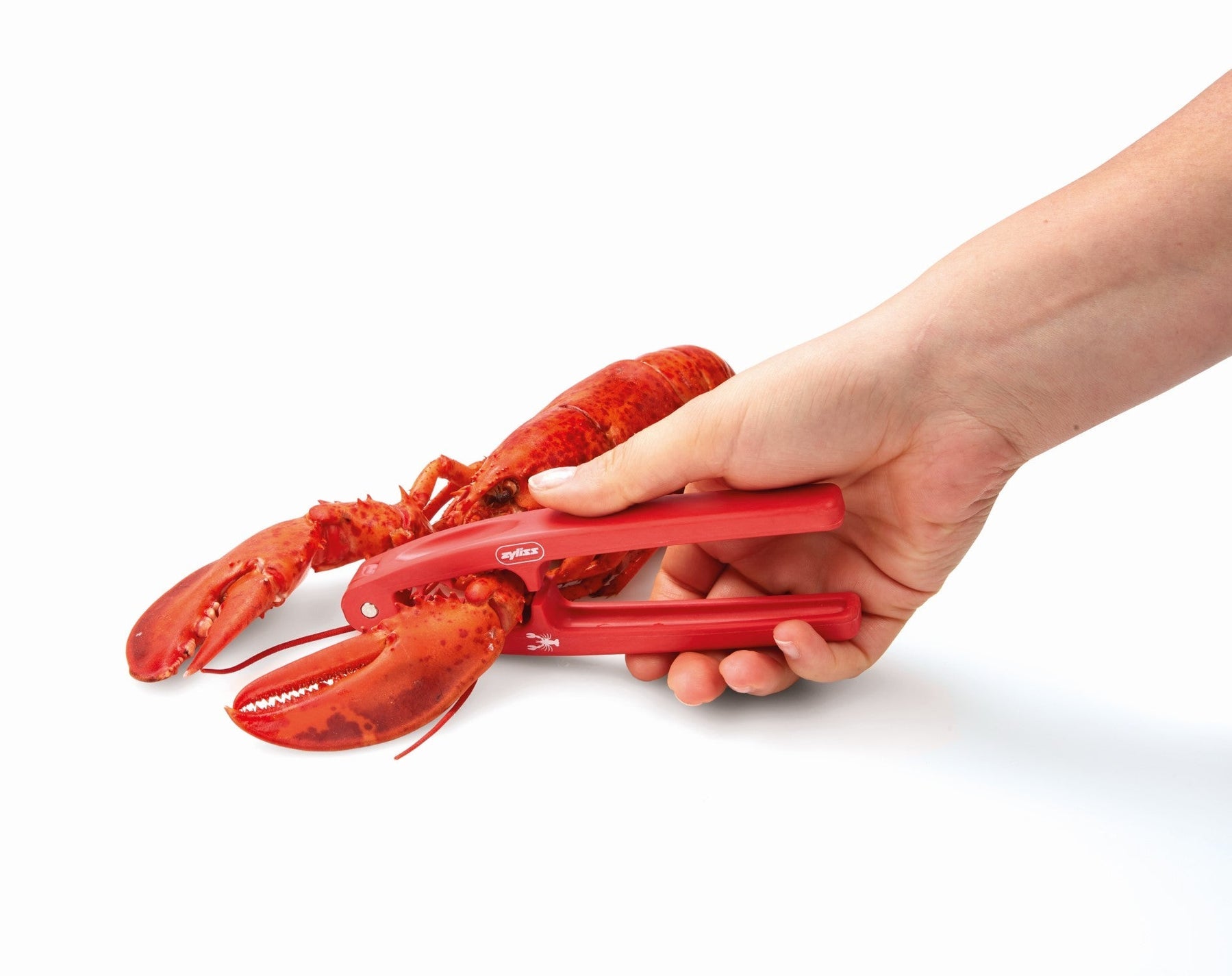 Seafood Cracker - Thumbnail 5