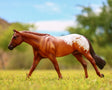 Breyer Chocolatey Champion Appaloosa