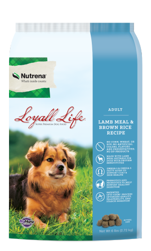 Loyall Life Lamb And Rice Adult Dry Dog Food 40Lbs