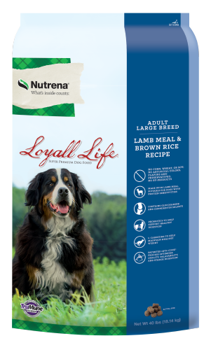 Loyall Life Lamb And Brown Rice Audlt Lg Breed Dry Dog Food