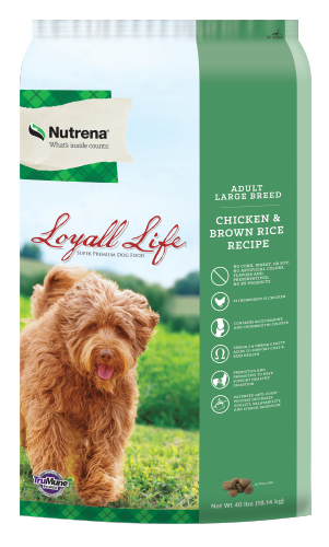 Loyall Life Chicken And Brown Rice Lg Breed Adult Dog Food