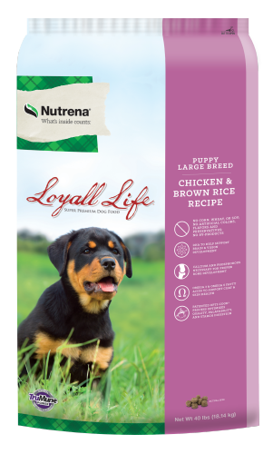 Loyall Life Puppy Large Breed Dry Dog Food CHK/BR_RICE