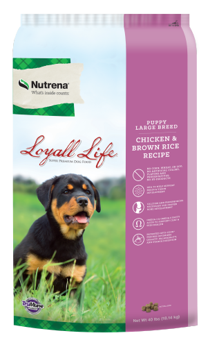 Loyall Life Puppy Large Breed Dry Dog Food CHK/BR_RICE 