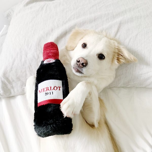 Zippy Paws Happy Hour Crusherz Red Wine Dog Toy