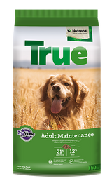 Loyall True Adult Maintenance 21-12