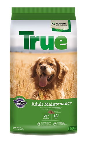 Loyall True Adult Maintenance 21-12